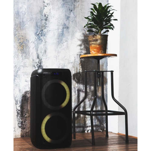Музыкальная система Midi Vipe WOOX300 Black фото 6