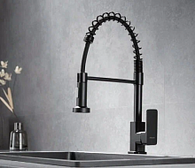 44126F Accoona Смеситель д/кухни с выдвижной лейкой. Черный (1/10)