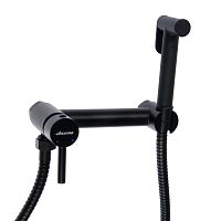 3290F-2 Accoona Смеситель встраиваемый д/гигиенического душа (с лейкой) (1/10)