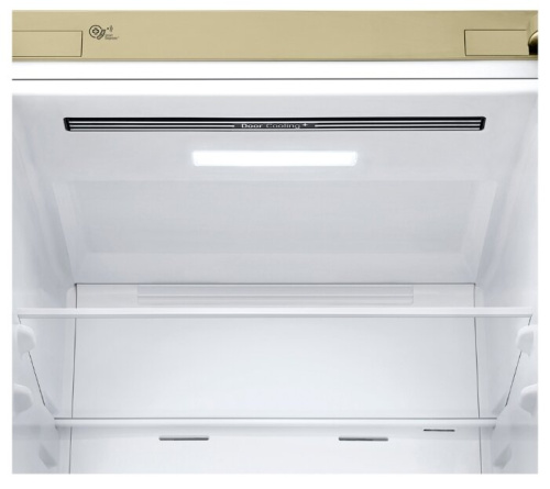 Холодильник LG DoorCooling+ GA-B509 CECL фото 4