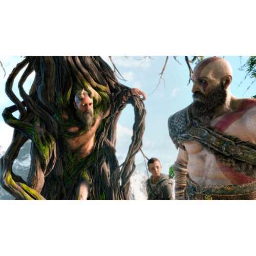 PS4 игра Sony God of War фото 4