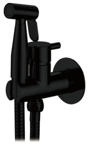 3290F-3 Accoona Смеситель с гигиеническим душем. Черный (1/10)