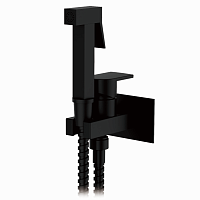 3290F-4 Accoona Смеситель встраиваемый д/гигиенического душа (с лейкой) (1/10)