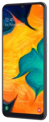 Смартфон Samsung Galaxy A30 SM-A305F 32GB черный (SM-A305F) фото 5
