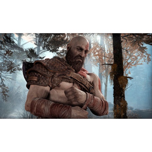 PS4 игра Sony God of War фото 8